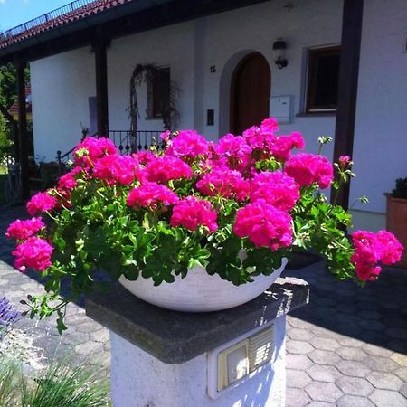 Haus Saentisblick Appartement Eriskirch Buitenkant foto
