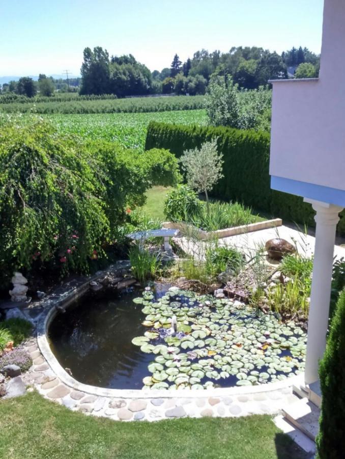 Haus Saentisblick Appartement Eriskirch Buitenkant foto
